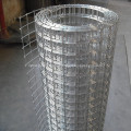 Powder Coat Welded Wire Mesh For Bird Cage